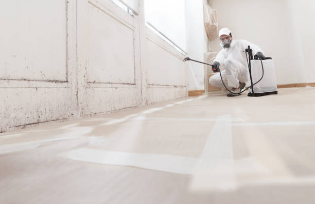 24/7 Emergency Mold Testing experts in Port Reading, NJ