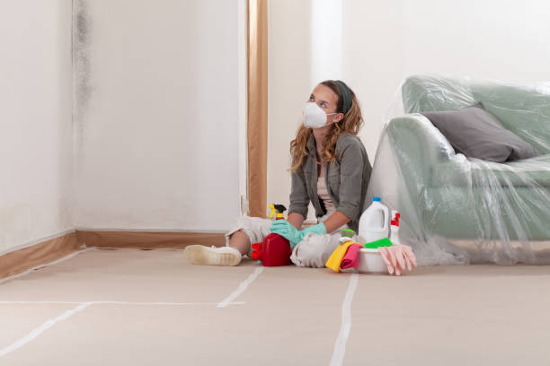 Trusted Basement Mold Remediation service in Port Reading, NJ - Cheap Mold Removal